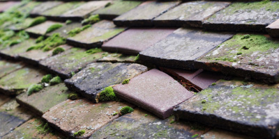 Pitchcott roof repair costs